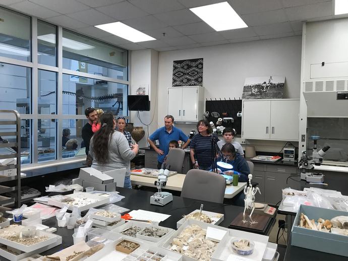 Behind the scenes tours of the museum's archaeology lab are taking place at noon ...
