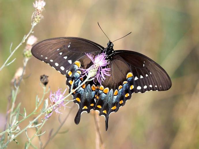 It's time for the Friday edition of #BenInNature presented by our friends at Carter Bank & Trust!