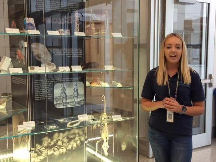 Museum Educator Terri Robertson is back inside the Harvest Foundation Hall of Ancient Life for ...