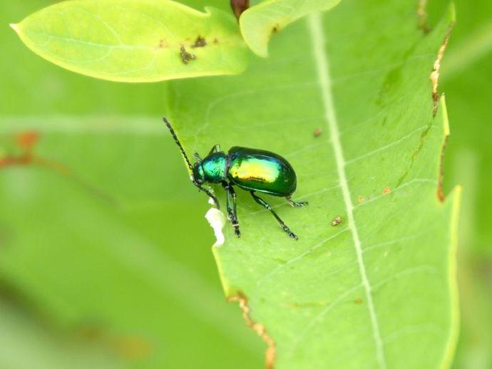 We're reaching into the archives for today's #BenInNature update presented by our friends at ...