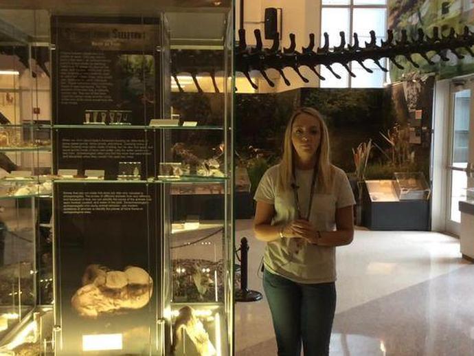 VMNH Educator Terri Robertson is inside the Harvest Foundation Hall of Ancient Life for this ...