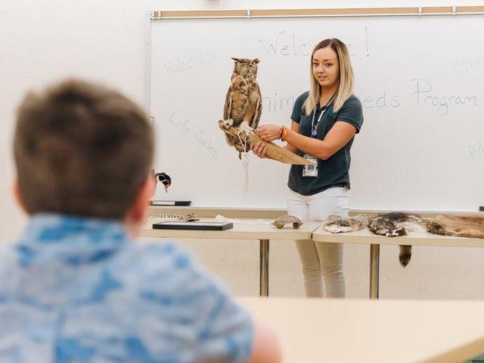 JOB OPPORTUNITY: Museum Educator 
 
The museum's education department is now seeking applicants ...