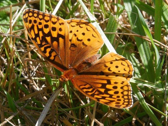 We're reaching into the archives for this Monday's #BenInNature update presented by our friends ...