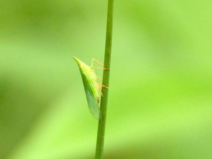 We're reaching into the archives for today's #BenInNature update presented by our friends at ...