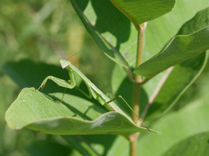 We're reaching into the archives for today's #BenInNature update presented by our friends at ...