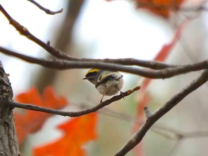 Ben here with the Monday edition of #BenInNature presented by our friends at Carter Bank & Trust!