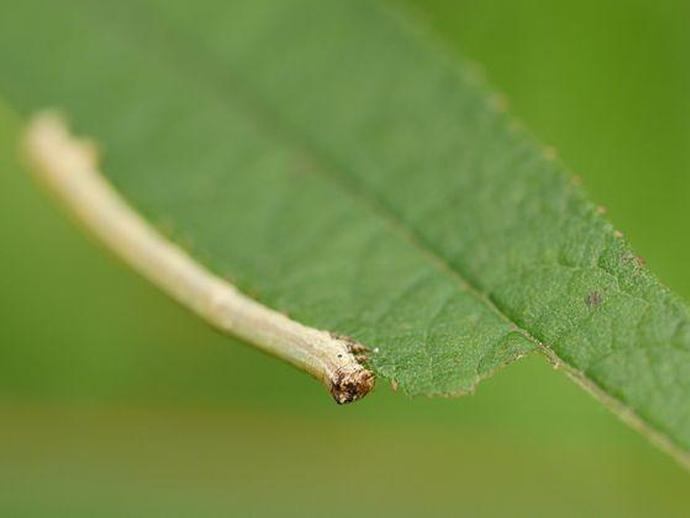 We're reaching into the archives for today's #BenInNature update presented by our friends at ...