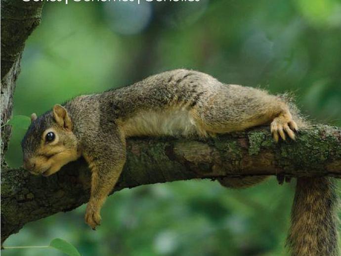 The scientific journal 'G3: Genes, Genomes, Genetics' knows a great picture when it sees one