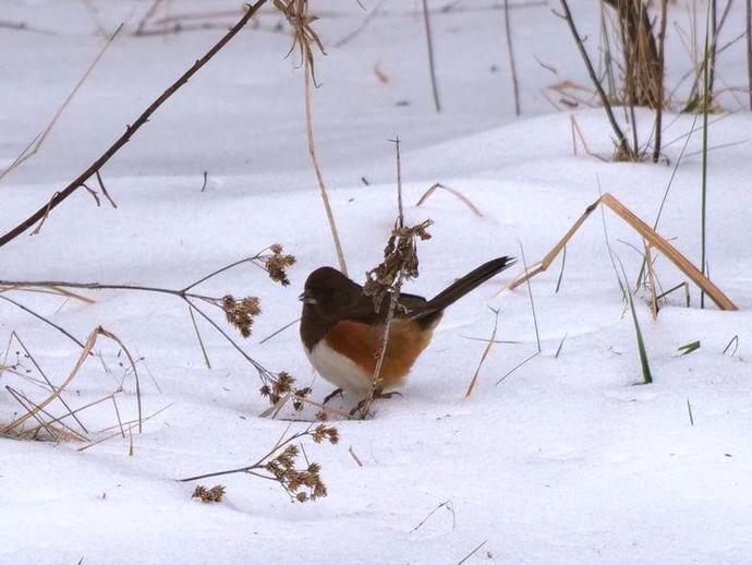 It's time for the Thursday edition of #BenInNature presented by our friends at Carter Bank & ...