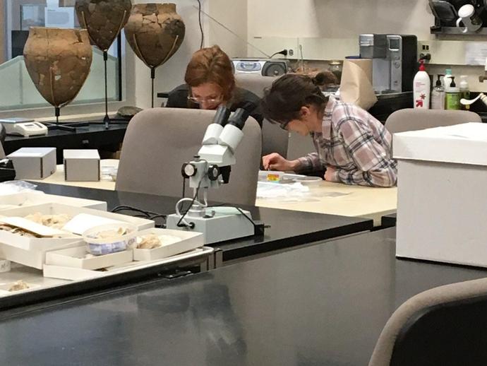 Students from Ohio University recently visited VMNH to tour the museum and learn about ...