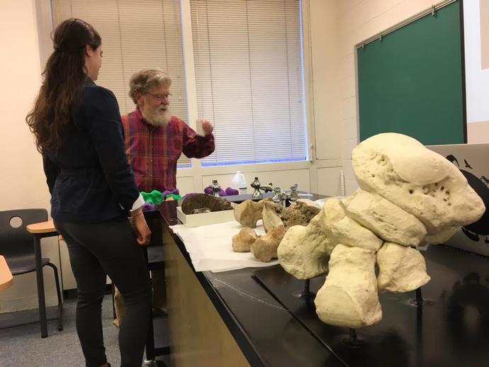 Roanoke College student Emma Clarke successfully defended her senior project on a VMNH mastodon ...