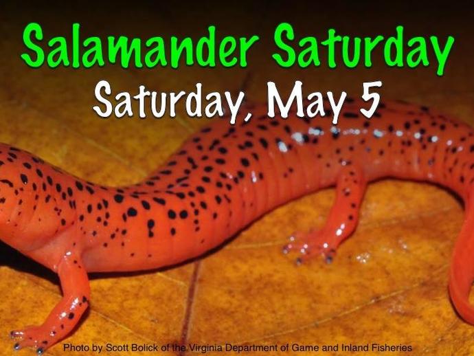 A week before you celebrate your mom, celebrate your amphibian friends!