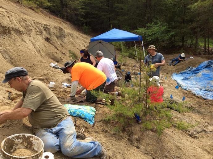 Had a great first day back at the Carmel Church Quarry fossil site today in sunny Ruther Glen