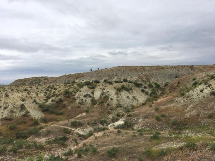 We got in a good morning of digging at the #Dinosaur site today!