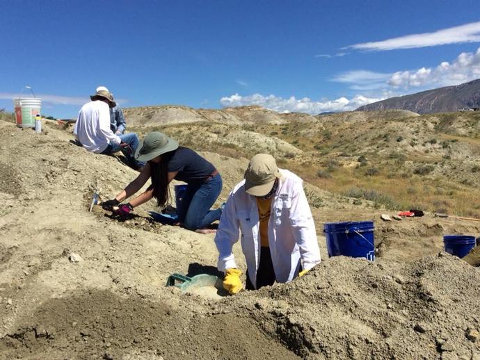 The weather finally cleared and the #dinosaur crew got in just about a full day of digging!
