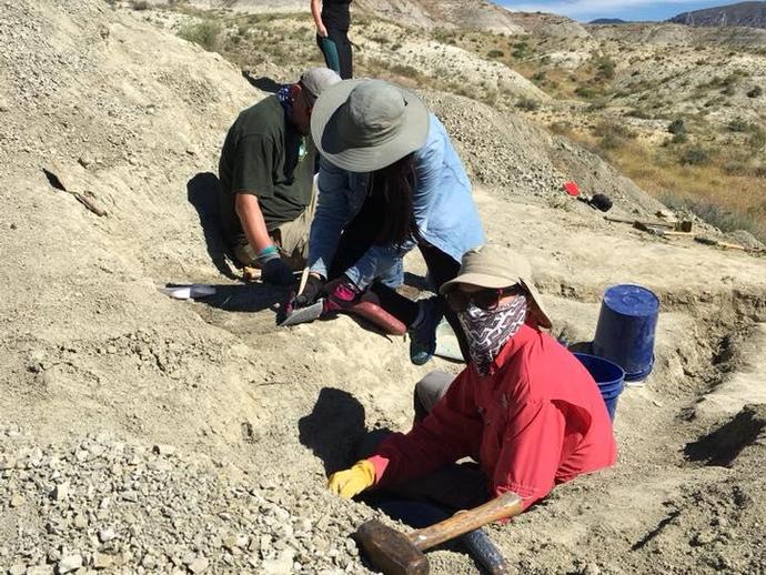 Another beautiful day at the #dinosaur quarry in Wyoming