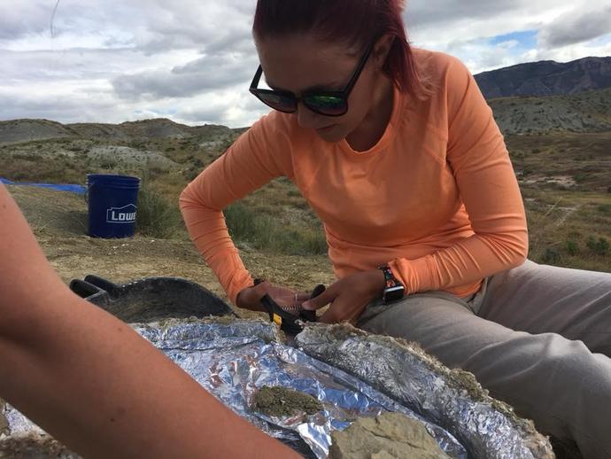 It was a great day for digging dinosaurs today in Wyoming!