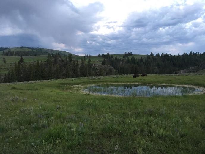 The crew was at Yellowstone National Park yesterday and saw some fascinating geology and ...