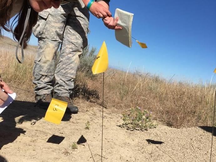 Some of the VMNH team spent the morning tracking the Harvester Ant (which pick up small ...