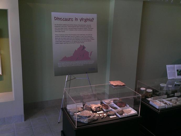 We have a growing exhibit on the amazing biology and geology of VA right on downtown Waynesboro!