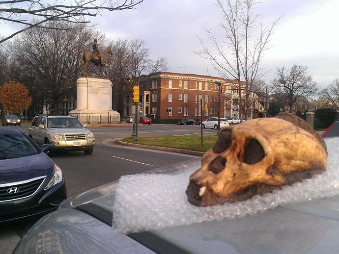Australopithecus africanus continues its journey to Martinsville and takes in some sights