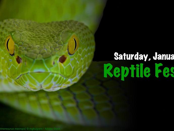 The Reptile Festival is slithering into the Virginia Museum of Natural History on Saturday ...