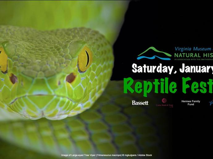 The Reptile Festival is slithering into the Virginia Museum of Natural History on Saturday ...