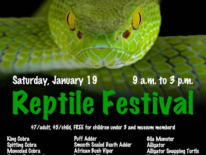 The Reptile Festival is slithering into the Virginia Museum of Natural History on Saturday ...