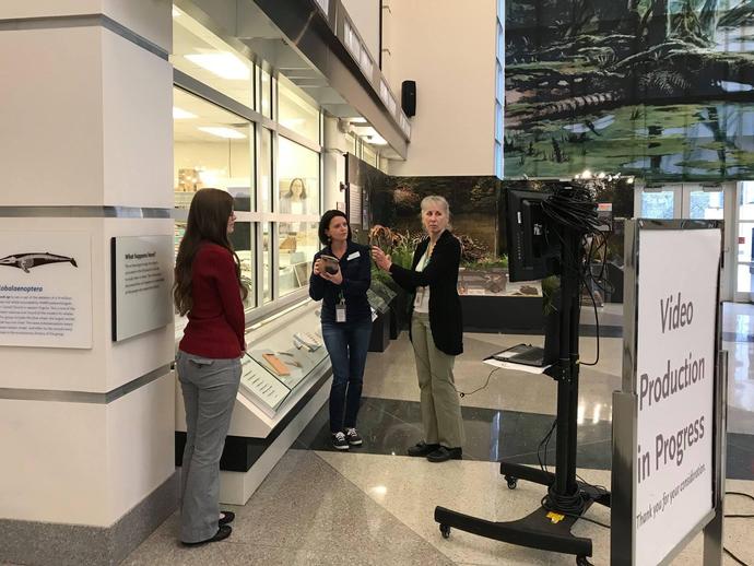 VMNH educators are in the Harvest Foundation Hall of Ancient Life connecting live with 2nd ...