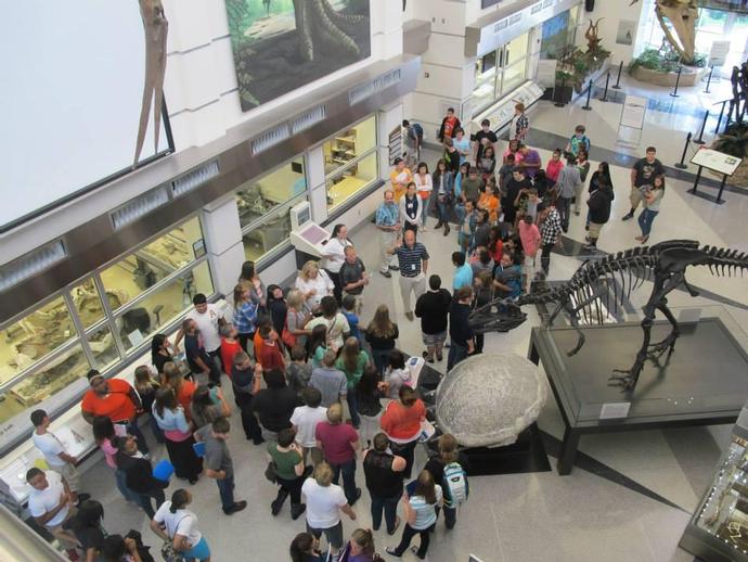 Approximately 100 students from Magna Vista's 9th grade Warrior Tech Accademy visited VMNH on ...