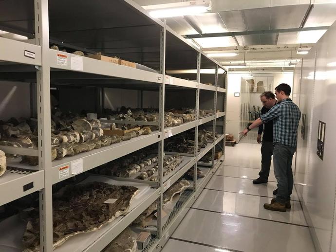 Ray Vodden, VMNH research technician, is at the Science Museum of Minnesota in St