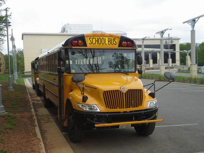 School buses are arriving at VMNH for Elastic Park Student Day!
