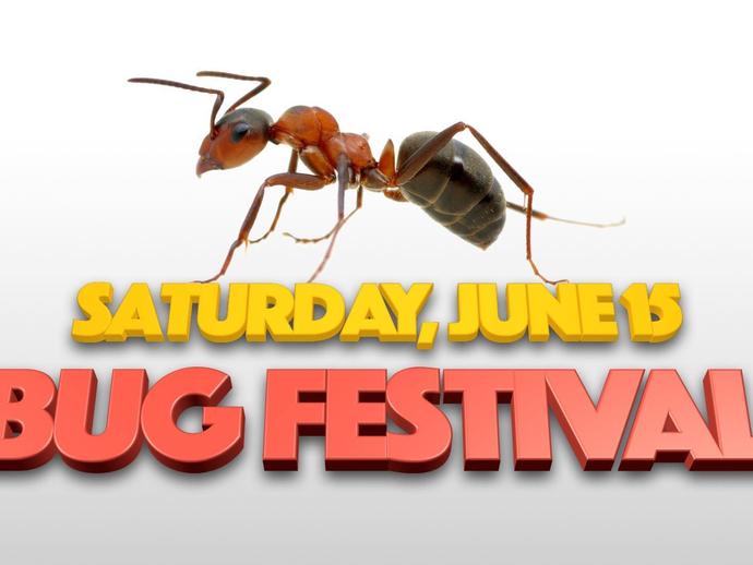 We're only one month away from the glorious return of Bug Festival!