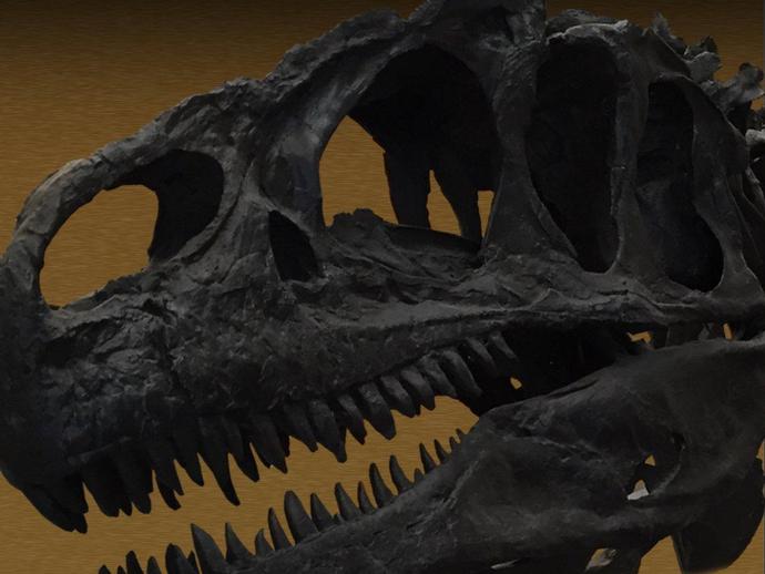 It's a 2-day dinosaur extravaganza featuring life-size cast skeletons of some of the most iconic ...