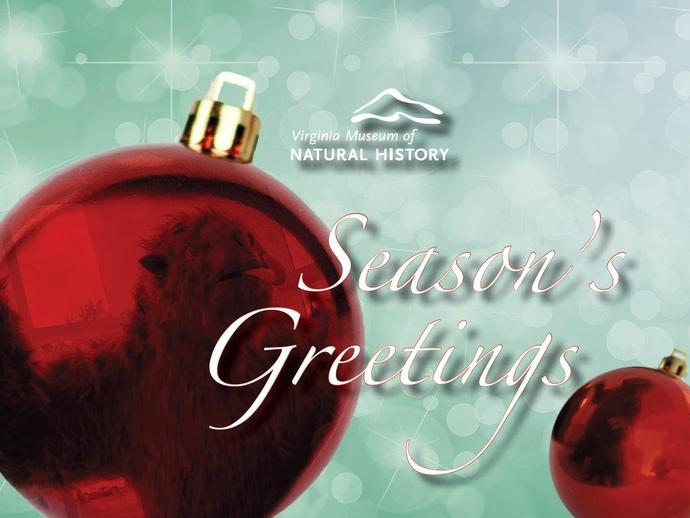 Season's Greetings from the Virginia Museum of Natural History