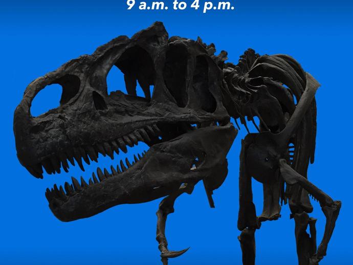Dinosaurs are taking over the Virginia Museum of Natural History on Friday ...