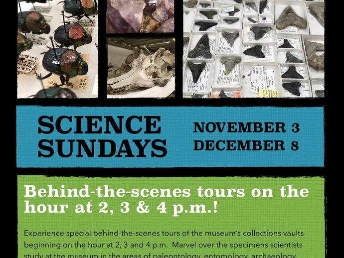 Behind-the-scenes tours and special Sunday hours!