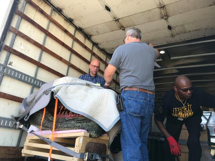 It's not every day you see a dragon head being transported in a box truck!