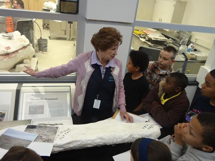 VMNH Volunteer Interpreter Nancy Baker explains the work of paleontologists at Dino Day Student Day.