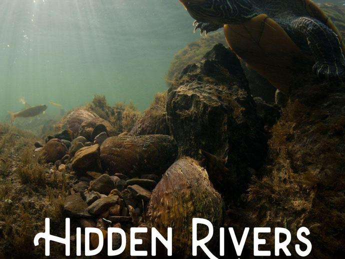 Hidden Rivers Film Premiere
Tuesday ...