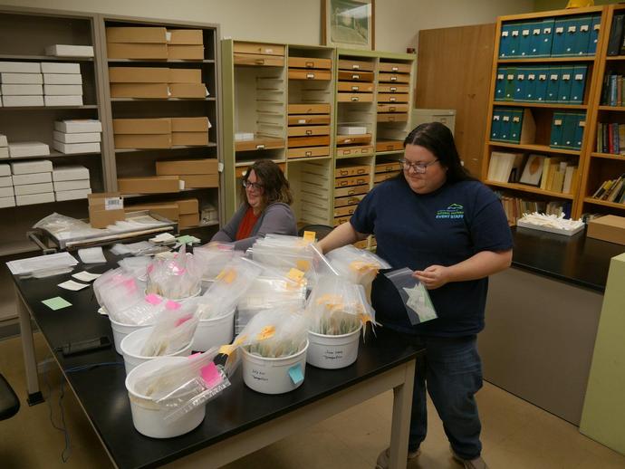 VMNH Research Technician Liberty Hightower and Collections Manager Haley Cartmell are currently ...