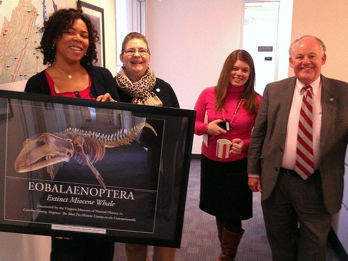 VMNH pictures featuring the prehistoric whale Eobalaenoptera are now on display in the Virginia ...
