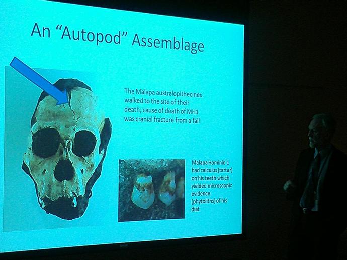 The story of the death of Australopithecus sediba