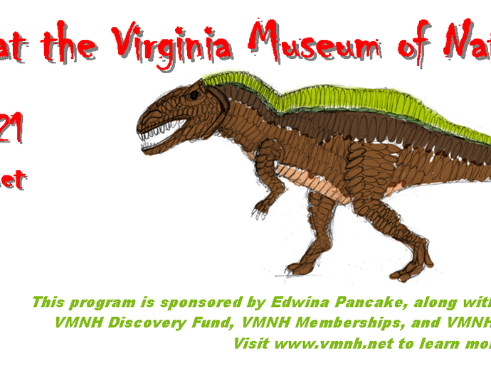 It's Elastic Park time at VMNH!