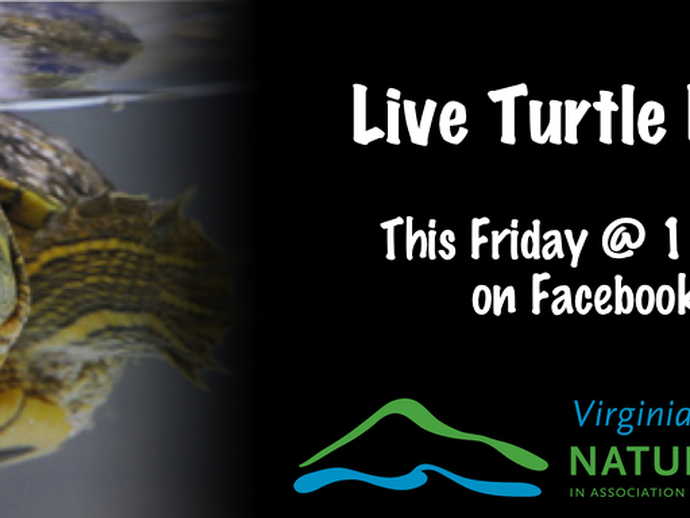 Tune in to the VMNH Facebook page tomorrow at 10:30 a