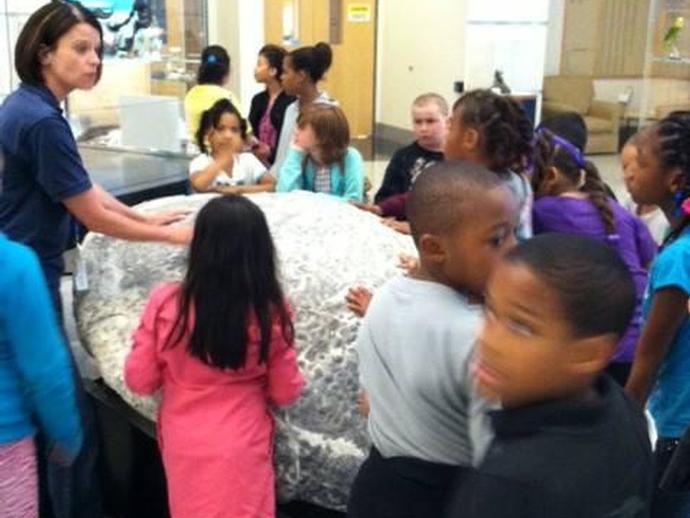 Students from Campbell Court Elementary School in Henry County ...