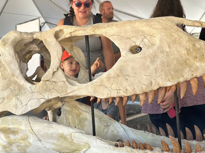 The Ultimate Dinosaur Adventure Returns