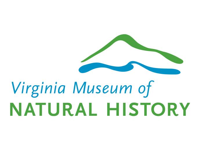 VMNH-Waynesboro enters detailed design stage