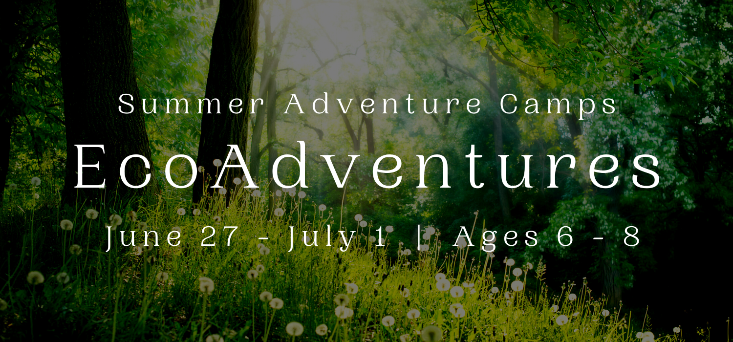 Eco Adventure Summer Adventure Camp 2022
