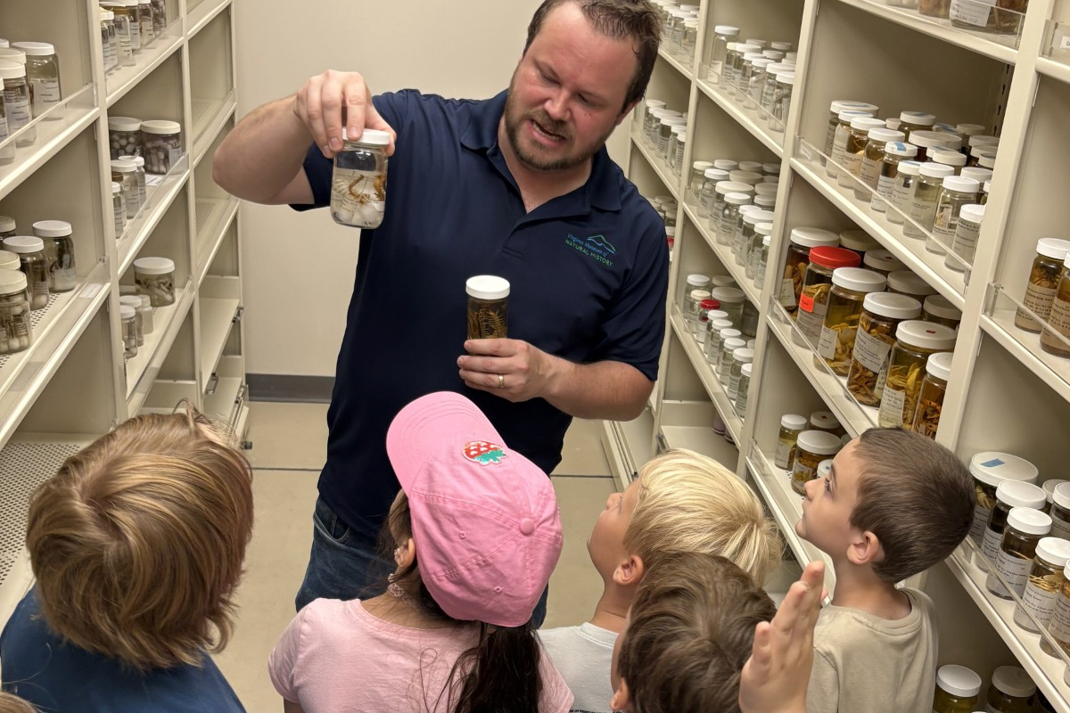 Campers adventure into the museum's wet biology collections to learn about some of the museum's creepy crawly specimens from VMNH Assistant Curator of Recent Invertebrates Dr. Jackson Means!